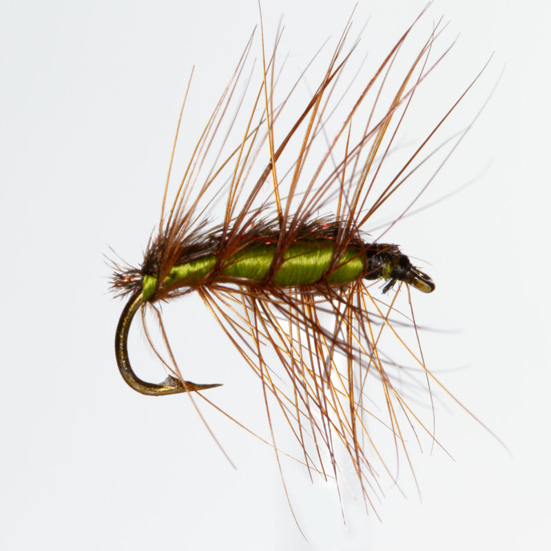 Super Pupa Green